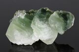 Albite Crystals with Chlorite Inclusions - Pakistan #175087-2